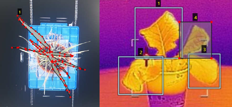 작물 디지털 피노타이핑-샘플데이터_2_분광 (초분광, 엽록소분광, 열화상) 이미지 데이터(1)