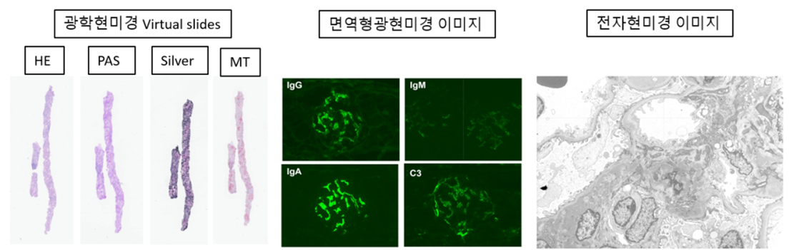 고해상도 분자조직학 이미지-데이터 포맷_1