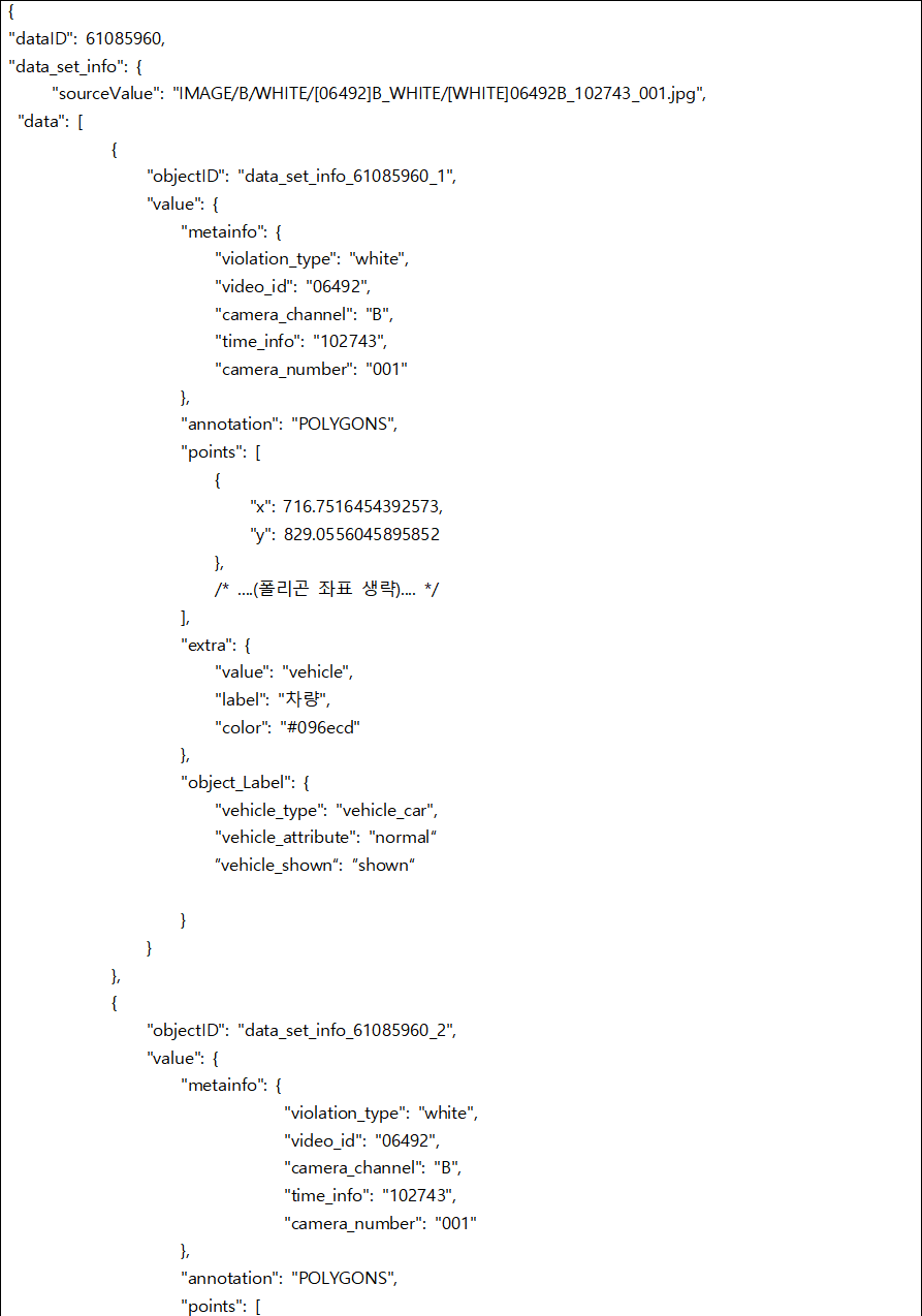 차로 위반 영상-라벨링데이터 포맷 예시 (JSON)_3_어노테이션 실제 예시(1)