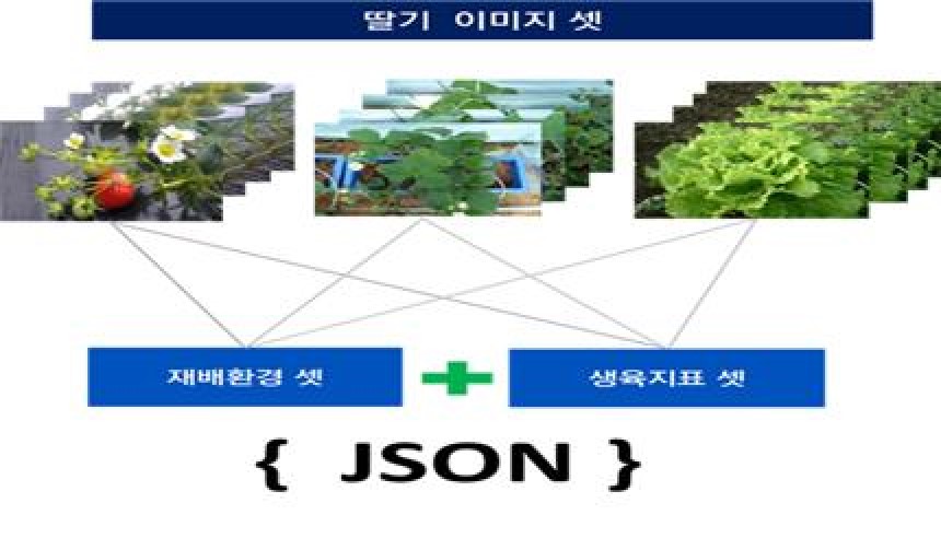 지능형 수직농장 통합 데이터 (딸기)-데이터 구성_2_데이터 납품 형상(2)