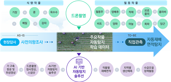 제주 주요작물 자동탐지-데이터 설명_1