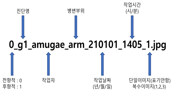 단계별 욕창 환부 이미지-데이터 구성_2_파일명 구조