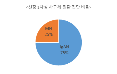 고해상도 분자조직학 이미지-데이터 분포_1_신장 1차성 사구체 질환 진단 비율