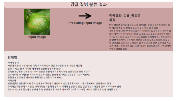 고품질 과수작물 통합 데이터- AI 서비스 활용 : 병충해 판별 서비스- 감귤