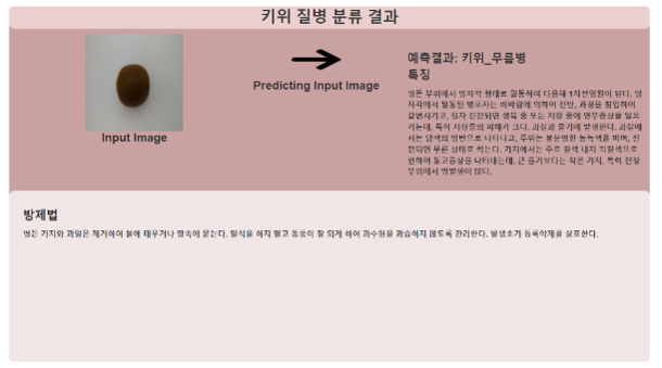 고품질 과수작물 통합 데이터- AI 서비스 활용 : 병충해 판별 서비스- 키위