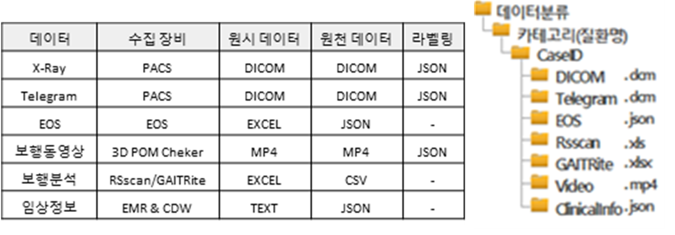 족부질환 및 재활경과 판단을 위한 보행 동영상-원시데이터 포맷_1