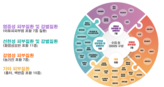 소아청소년 피부질환 이미지-데이터 구성_1