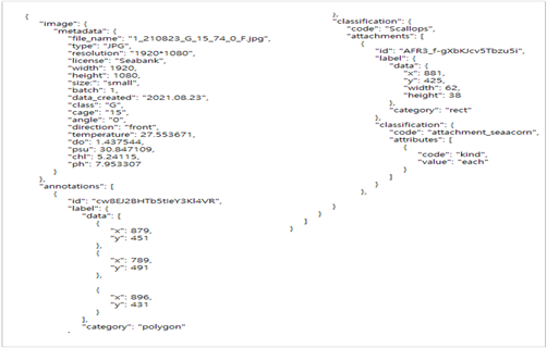 지능형 스마트양식장 통합 데이터 (가리비)-어노테이션 파일 예시_1_가리비 Json 예시