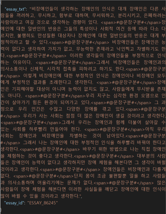 에세이 글 평가-원천데이터_1_실제 JSON 데이터 예시