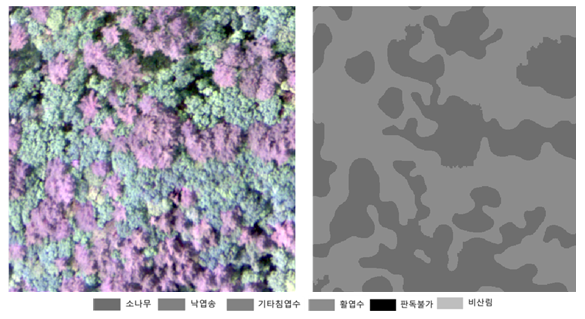 산림 수종 이미지 (경상)-라벨링데이터 Tiff파일 (예시)_1