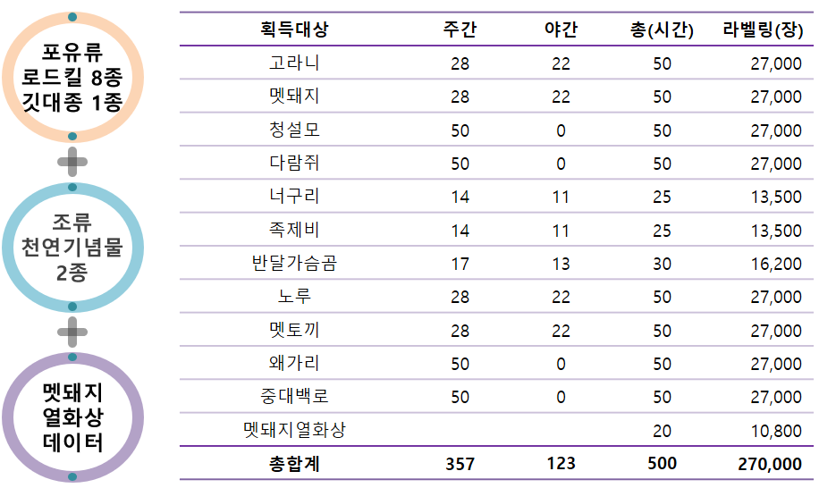 데이터 영상 및 이미지 합계