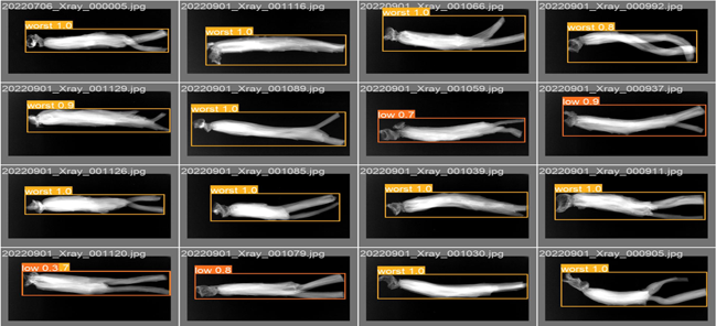학습모델 결과 예시 홍삼 객체의 영역과 클래스 품질 등급 상 중 하 최하를 분류한 Xray 이미지 16개