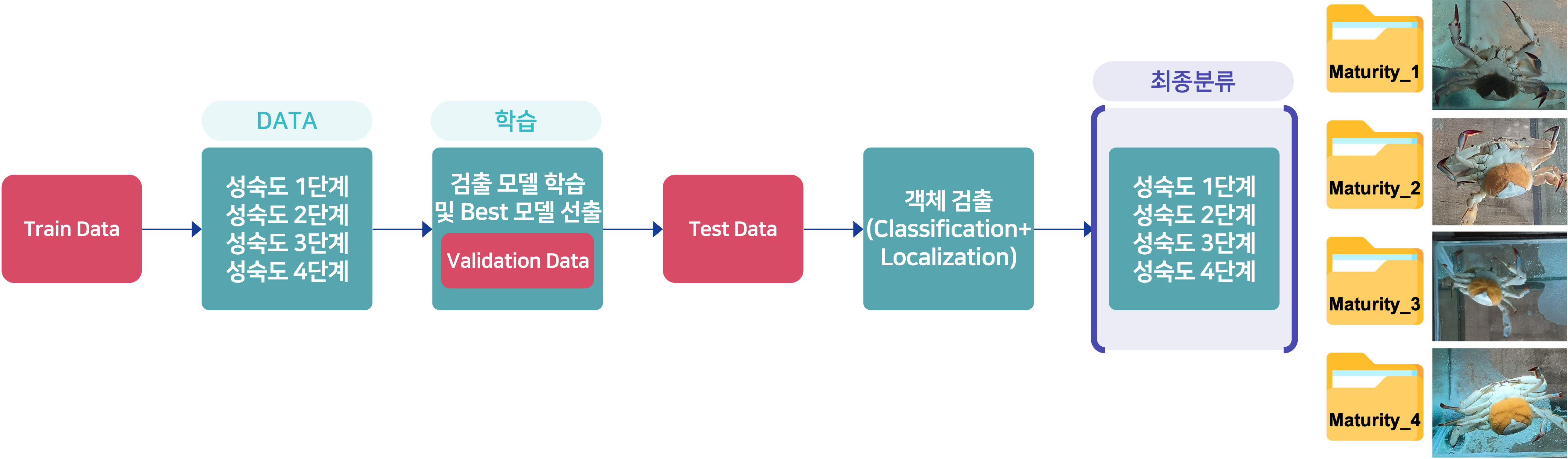 갑각류 어미 성숙도 분류 모델 YOLOv4 모델학습 순서