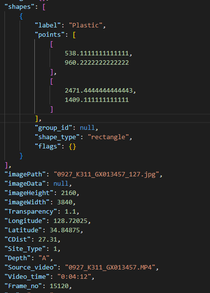 JSON 형식