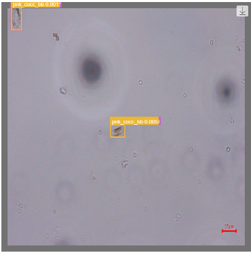 Classification Loss 지표 활용 후