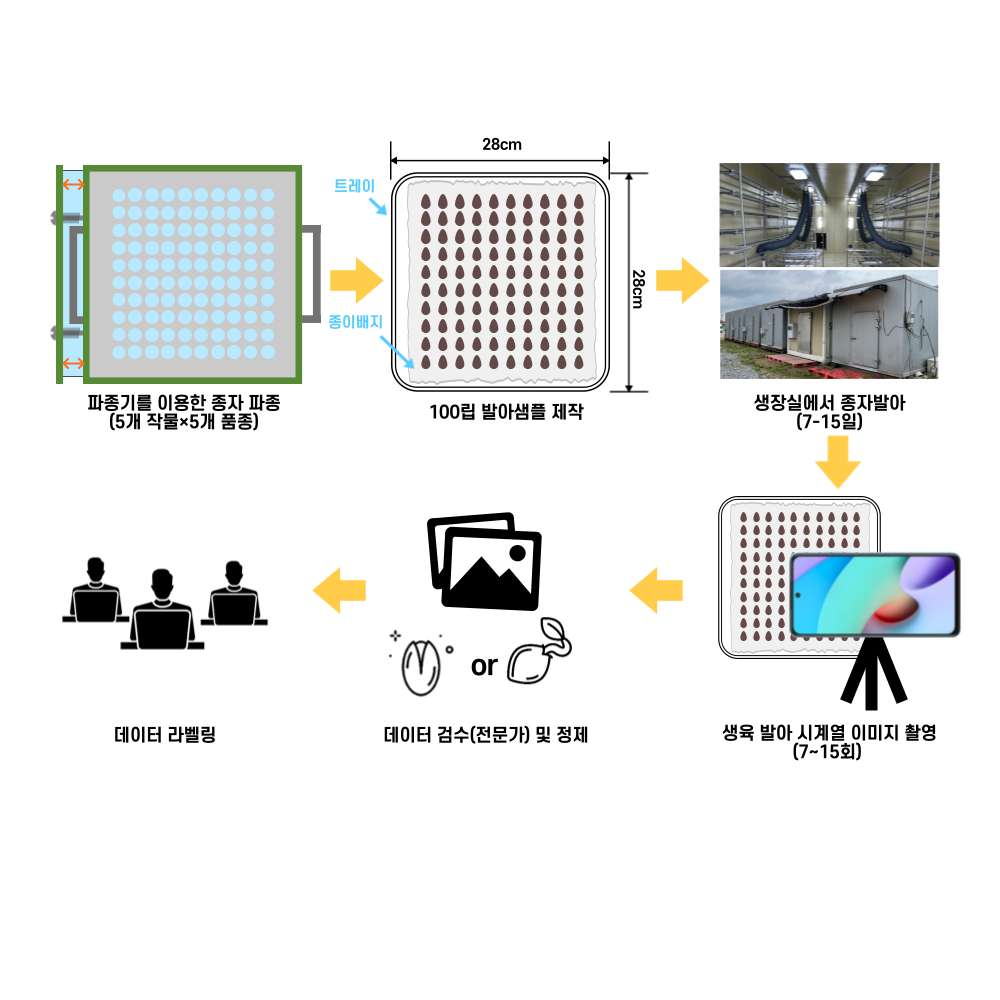 파종기를 잉용한 종자 파종(5개 작물 5개 품종) 100립 발아샘플 제작 생육환경 정지)7~15일)  생육 발아 사계열 이미지 촬영(7~15회) 데이터 정제 및 검수 데이터(오토) 라벨링 및 검수