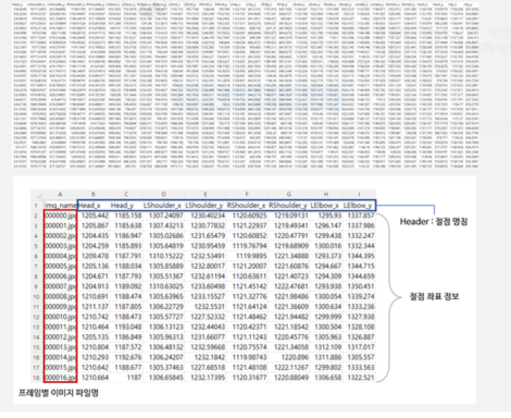 2D keypoint 포맷  csv