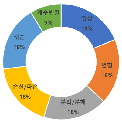 형태변환별 분포 차트