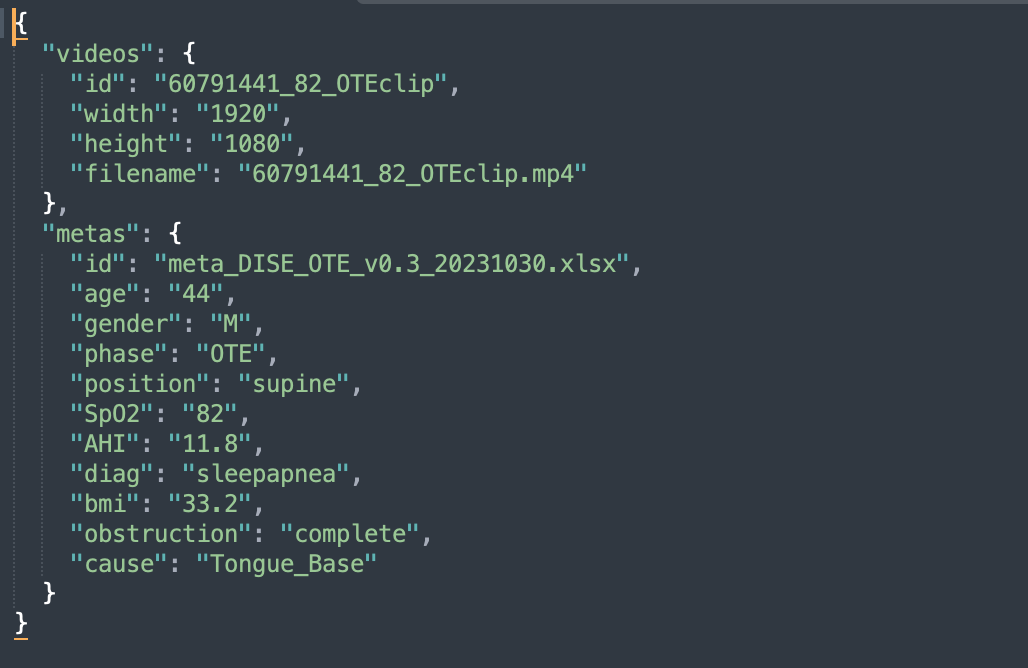 라벨링데이터 json 포맷
